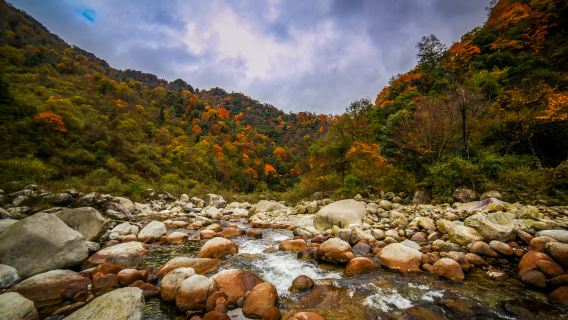 Sightseeingtur til efterårsløvet i Guangyuan