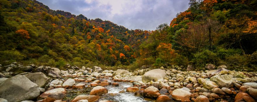 Qingchuan