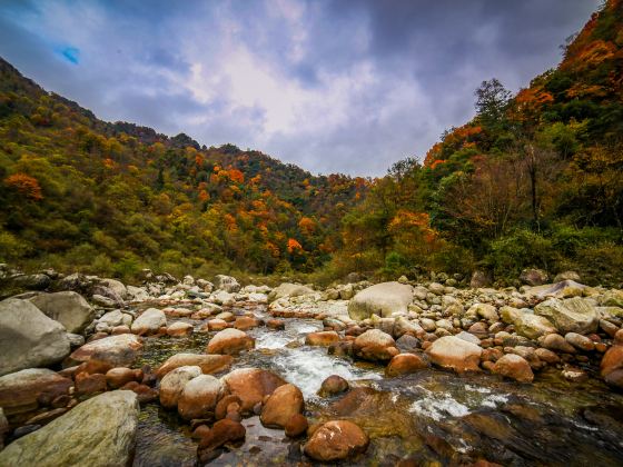 Tangjia River Nature Reserve