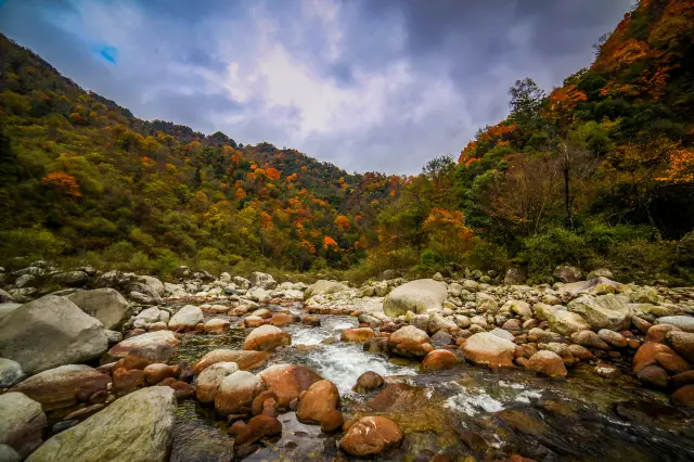 Fall Foliage Sightseeing in Guangyuan