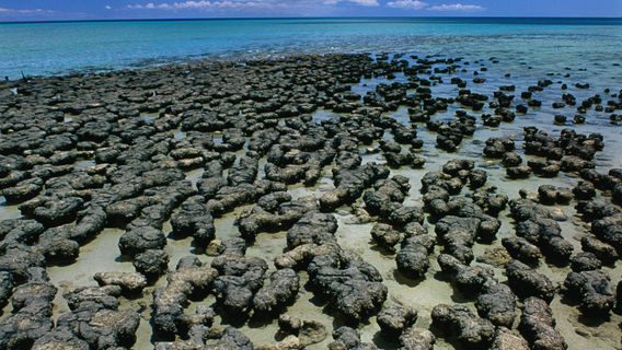 South Carnarvon