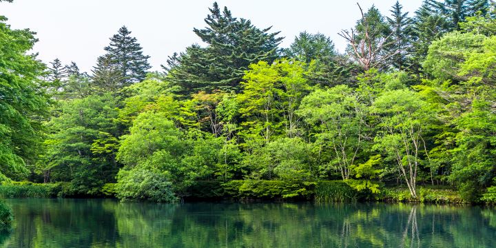 Kumoba Pond