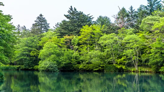 雲湯池