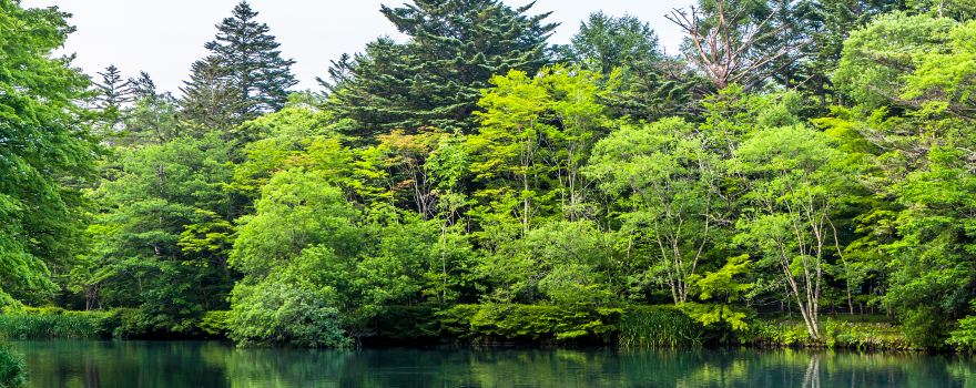 Kumoba Pond