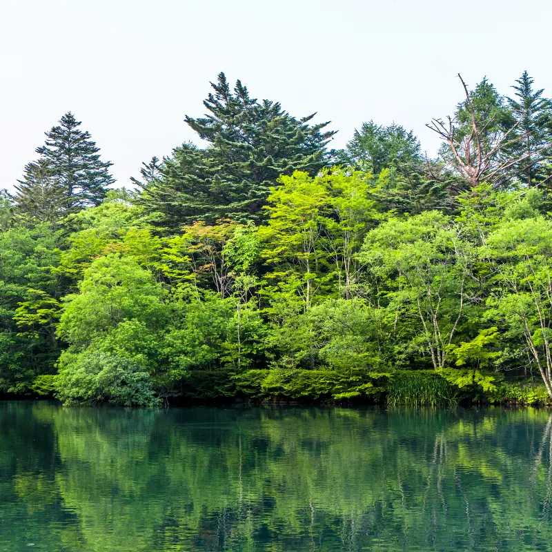 雲湯池