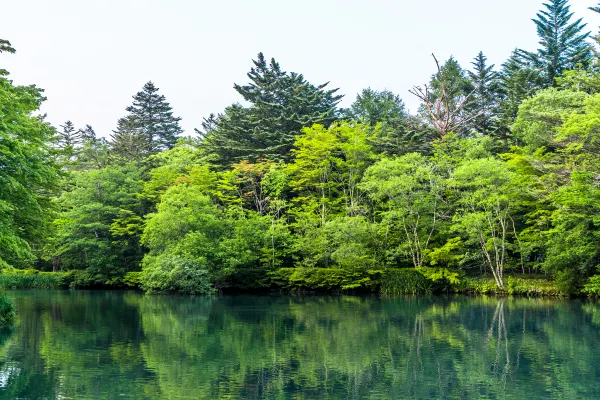 鉛温泉 藤三旅館