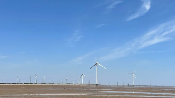 Golden Mud Bay Sunbathing Beach