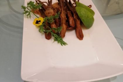 nido by Honey Bee Project