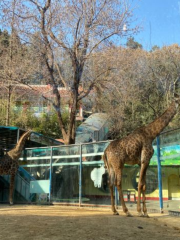 人民公園-動物園