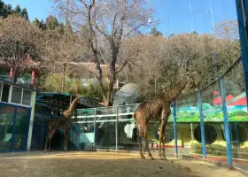 人民公園動物園