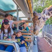 ทัวร์ชมสถานที่