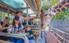 เชียงใหม่ไนท์ซาฟารี