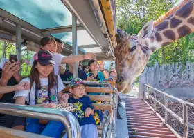 Chiang Mai Night Safari