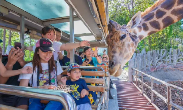 치앙마이 나이트 사파리