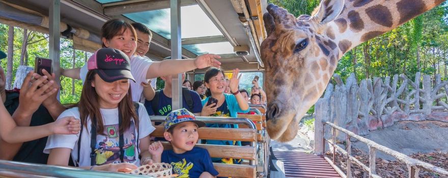 チェンマイナイトサファリ動物園