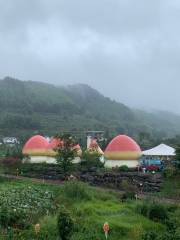 Mushroom General Mobilization, Jungle Fungus Valley