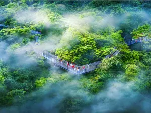 Hai Nan Bai Hua Ling