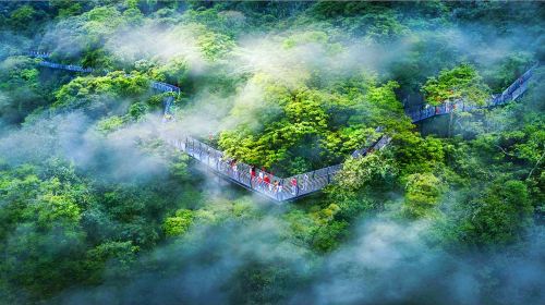 Hainan Baihualing Rainforest Cultural Tourism Zone