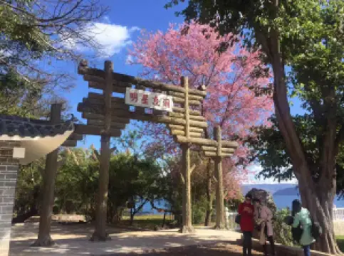 明星魚洞