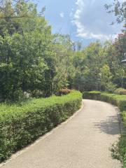 五腦山生態公園