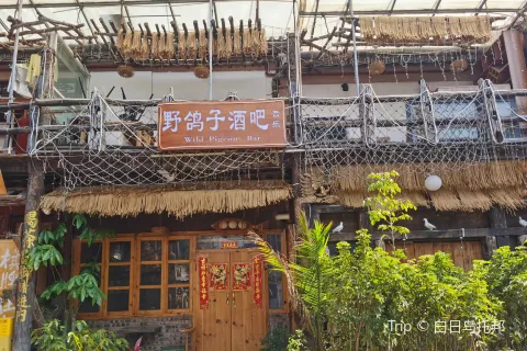 Wild Pigeons Bar