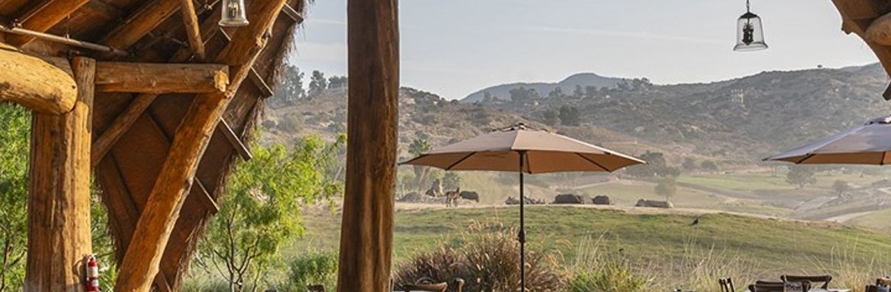 The Watering Hole- San Diego Zoo Safari Park