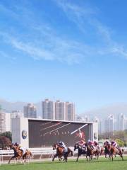 Hong Kong Olympic Equestrian Venue