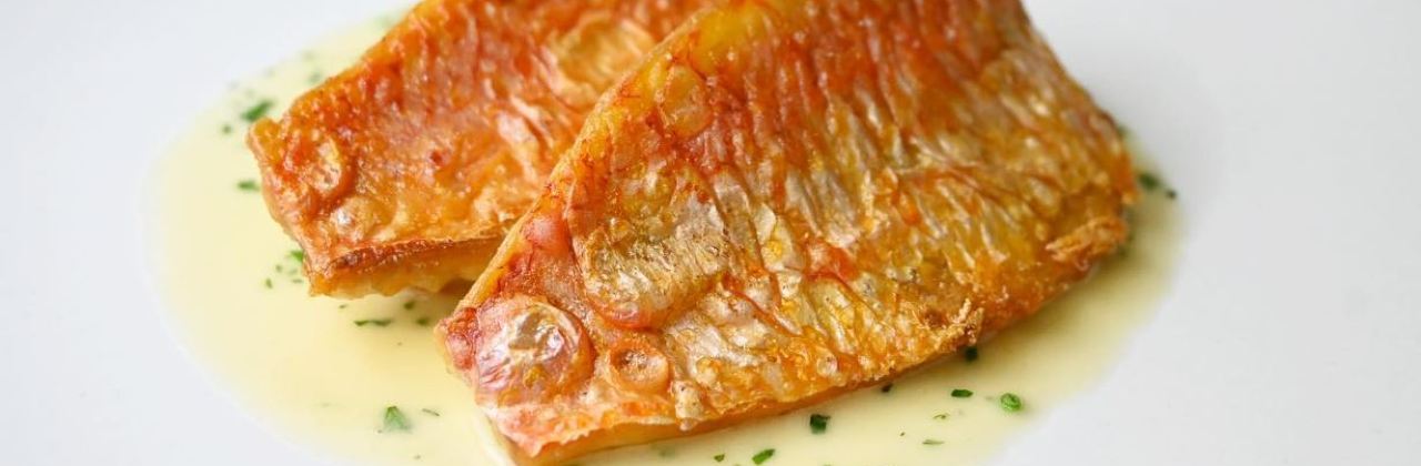 Cilantro Restaurant & Wine Bar