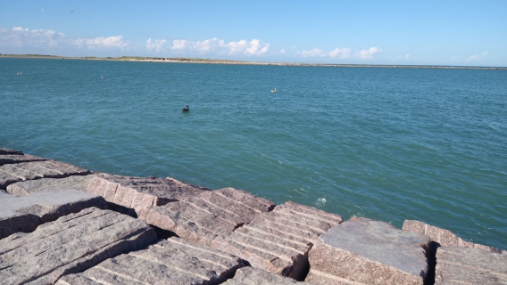 I. B. Magee Beach Park