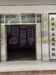 貴溪市博物館