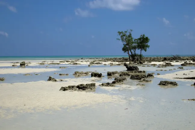 4-Star-Hotels in Havelock Island