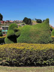 Parque de Zarcero, Francisco Alvarado Segura