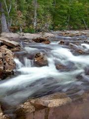 Bear Creek Landing