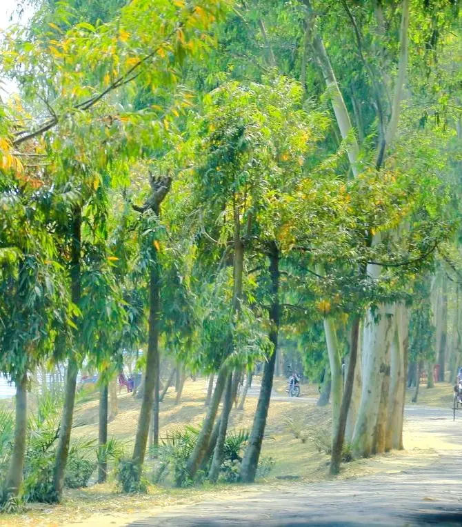 Dinajpur Sadar Upazila