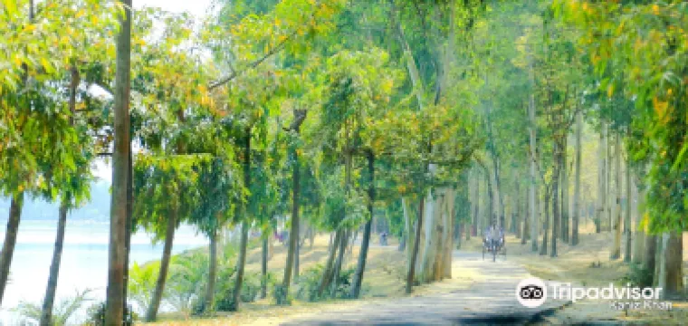 Dinajpur Sadar Upazila