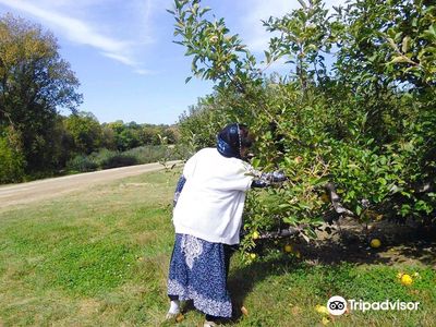 Anderson Orchard