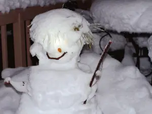 VGP Snow Kingdom