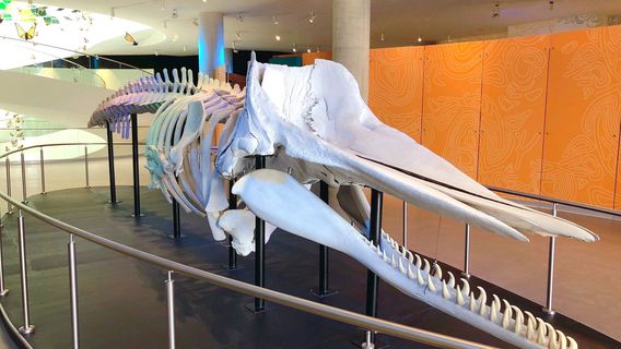 Pabellón Nacional de la Biodiversidad