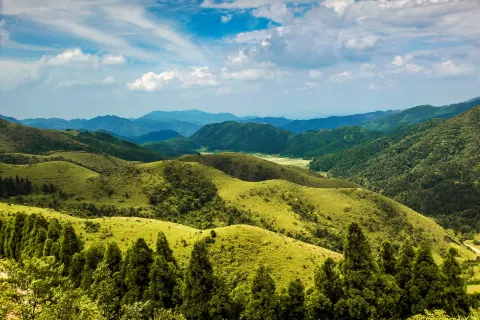 대용산 산림공원