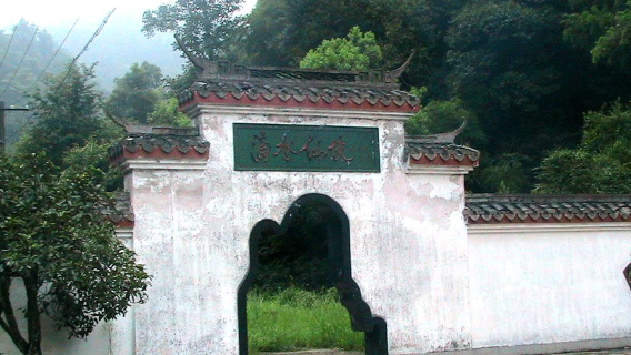 Dripping Water Wonderland