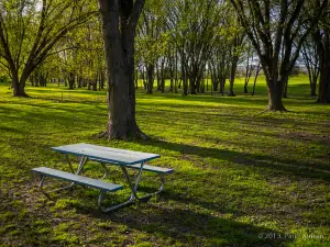 Hickories Park