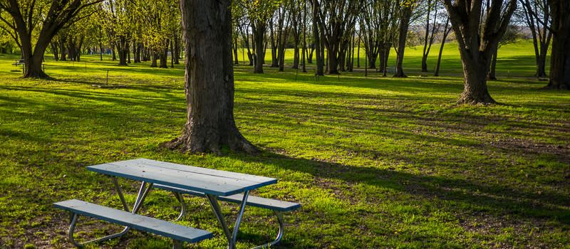 Hickories Park