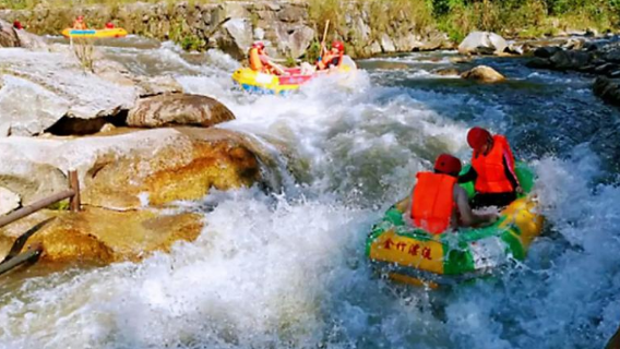 le an jin zhu fei pu piao liu jing qu