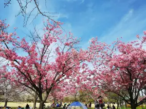 나가이 공원