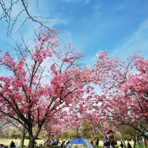 長居公園