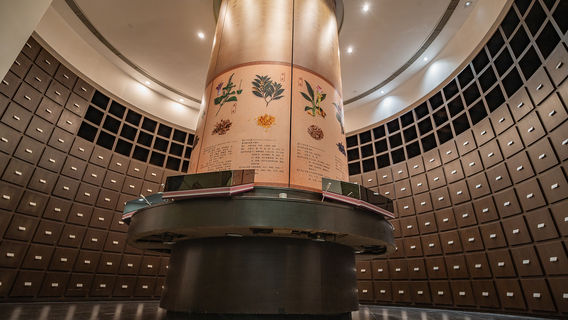 Guangdong Herbal Tea Museum