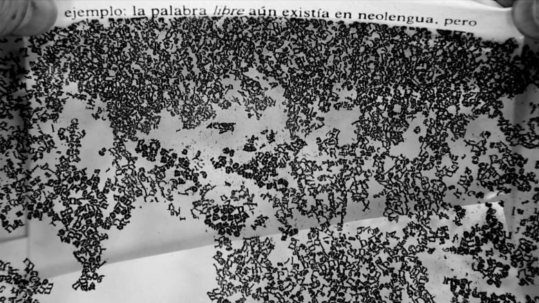 Utopia, Dystopia: Tony Cokes and Oscar Muñoz | Museum of Fine Arts, Boston