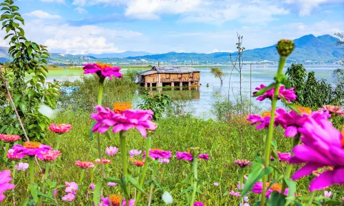 Lashihai Wetland Park