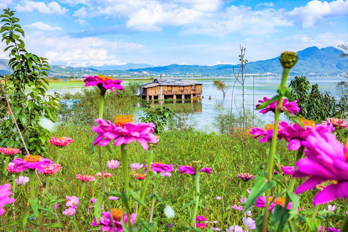 2_Lashihai Wetland Park
