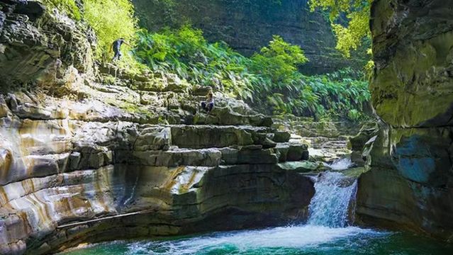 feng gang wan fo xia gu ma huang gou jing qu